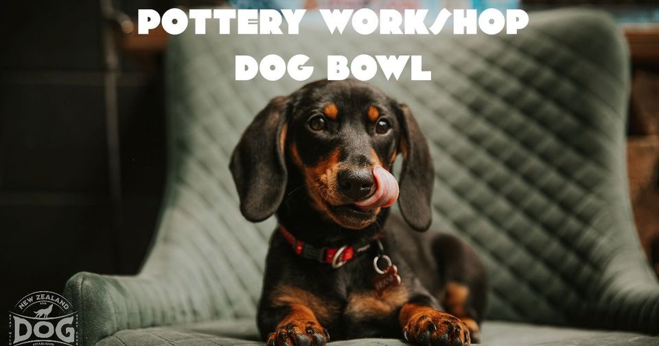 Dog Bowl Pottery The Clay Station Beech Tree, Beech Tree