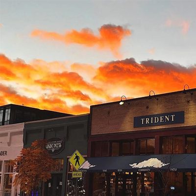 Trident Booksellers & Cafe logo