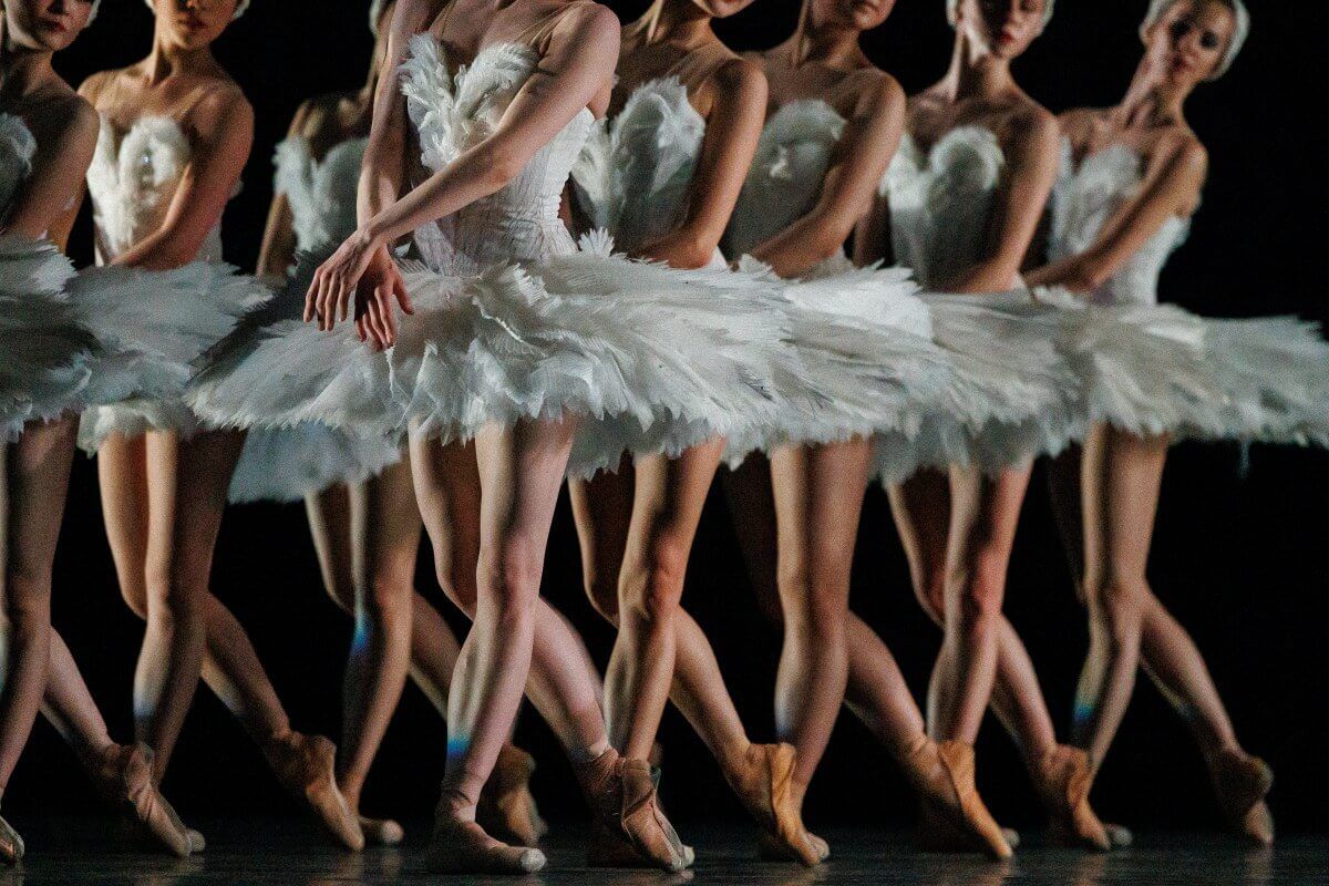 Swan Lake - Toronto, 30 November | Event in Toronto | AllEvents