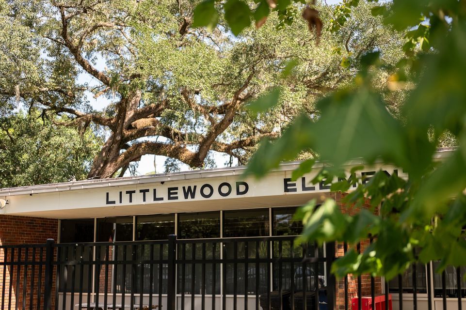 Spring Carnival, Littlewood Elementary School, Gainesville, April 26
