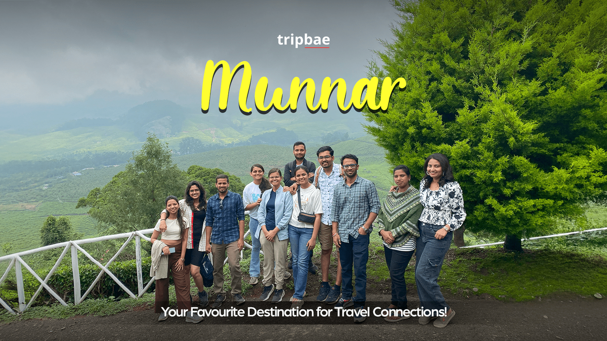 3 Day Munnar Backpacking Trip by Tripbae, 24 December | Event in Kodaikanal | AllEvents