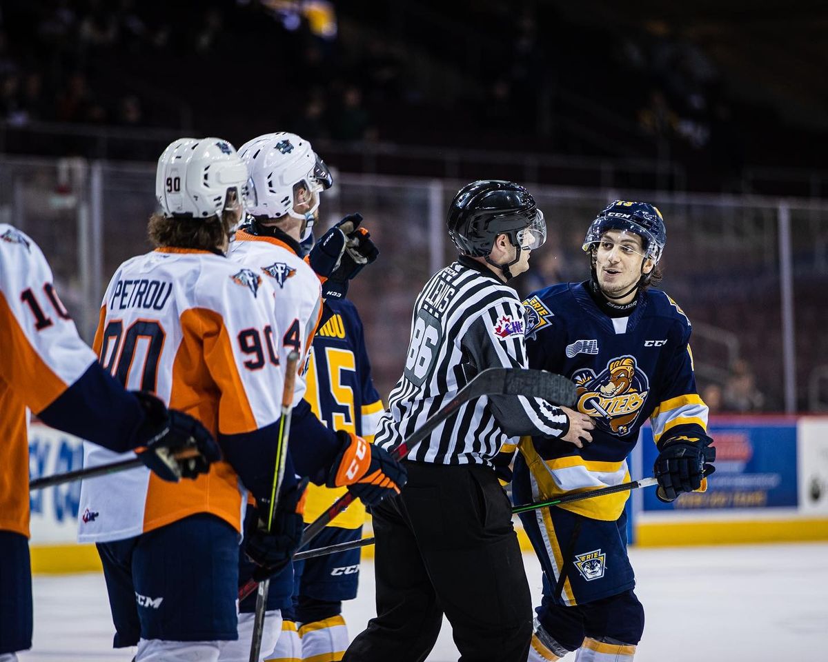 Flint Firebirds vs. Erie Otters, 6 February | Event in Flint | AllEvents