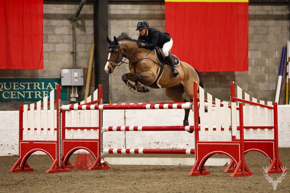 Elite cat 2 / cat 3 , The Daimler Foundation at Morris Equestrian