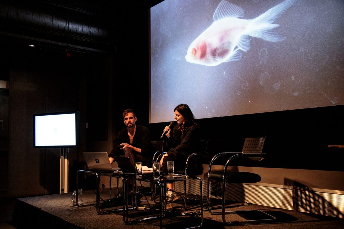 GoldFish at The Roundhouse