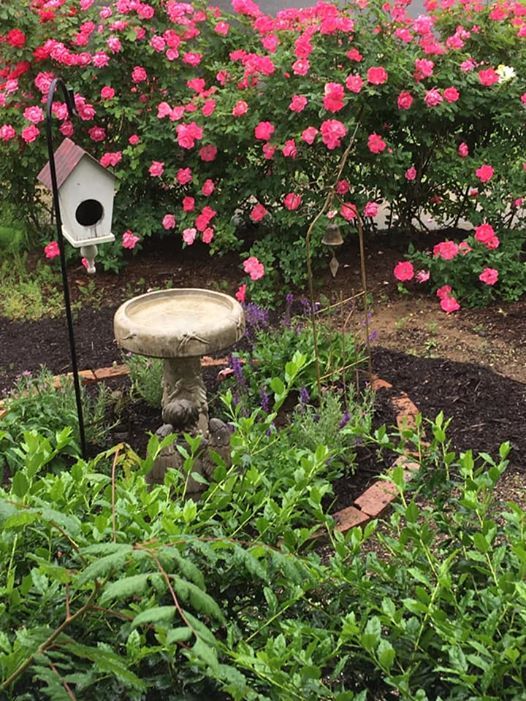 Pop Up Market At The Enchanted Cottage Day Spa Red Bank