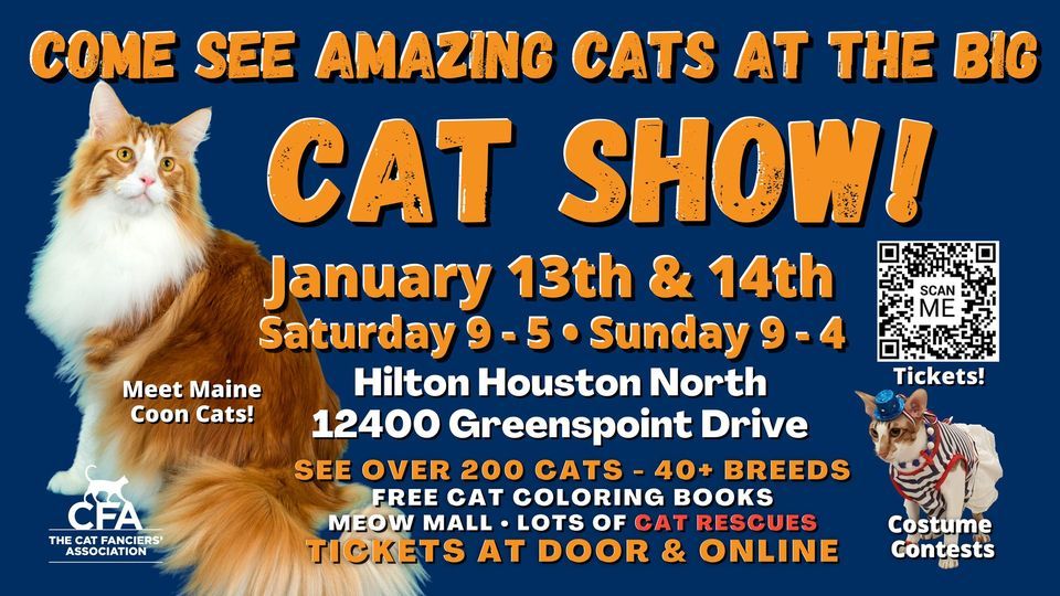 Come See the Amazing Cats At the BIG Houston CAT SHOW!, Hilton Houston