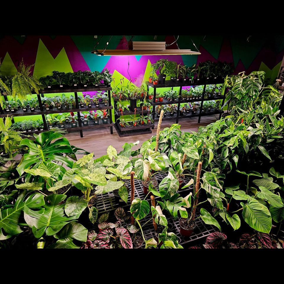 GRAND OPENING, 1506 Salem Rd, Mt Vernon, IL 628643277, United States