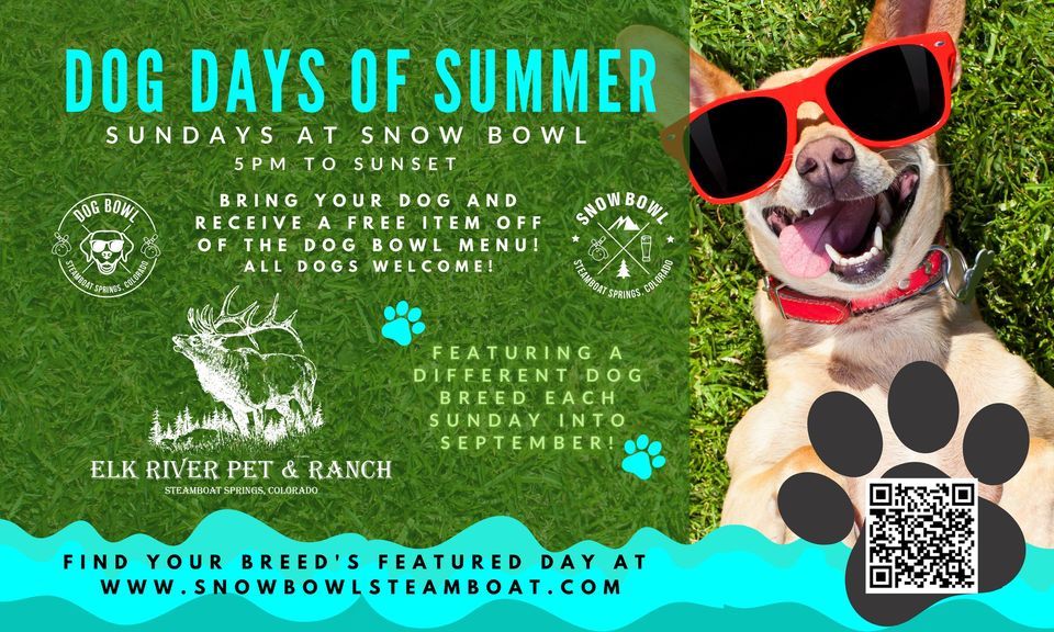 Dog Days of SummerLAP DOG DAY, Snow Bowl Steamboat, Steamboat Springs