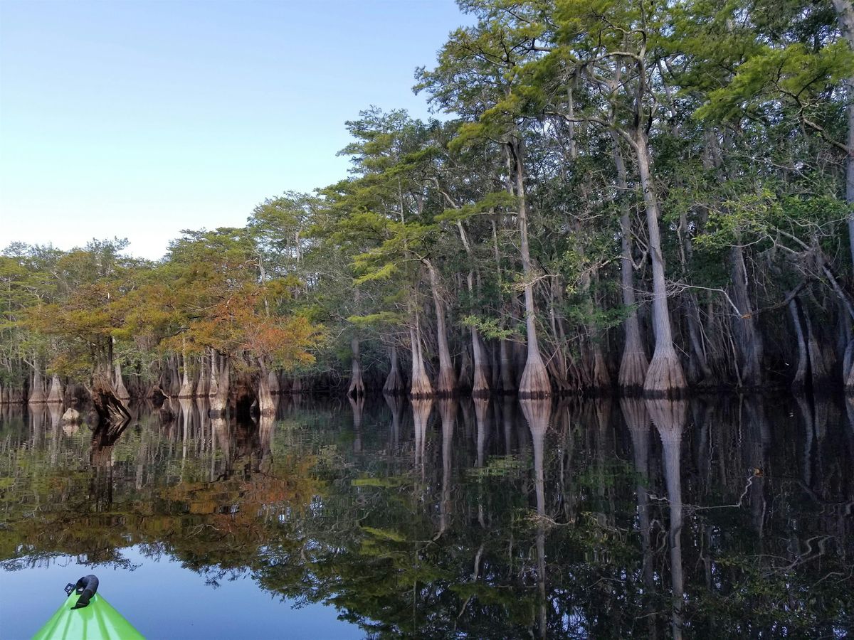 Apalachicola River and Floodplain Exploration, 20 February | Event in Eastpoint | AllEvents