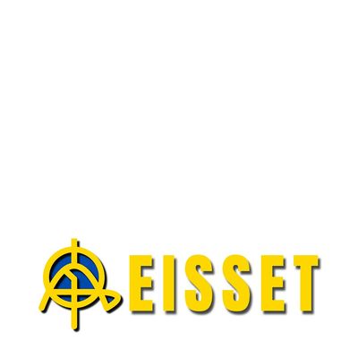 Eisset logo