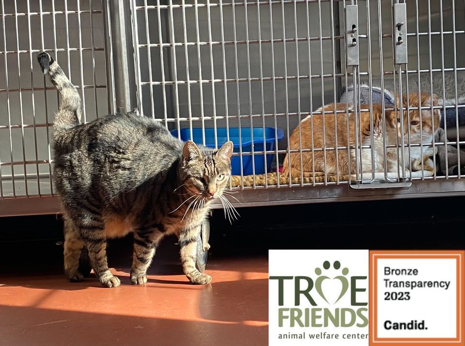 True Friends Annual Yard Sale , True Friends Animal Welfare Center