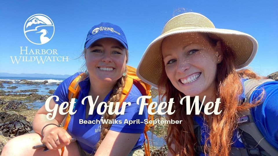 Fox Island Boat Launch Low Tide Walk, Fox Island Boat Launch, July 4
