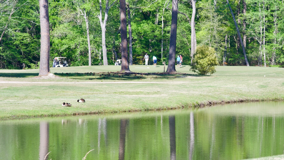 Magic Mikes Motown Review, Darlington Country Club, May 26 2023