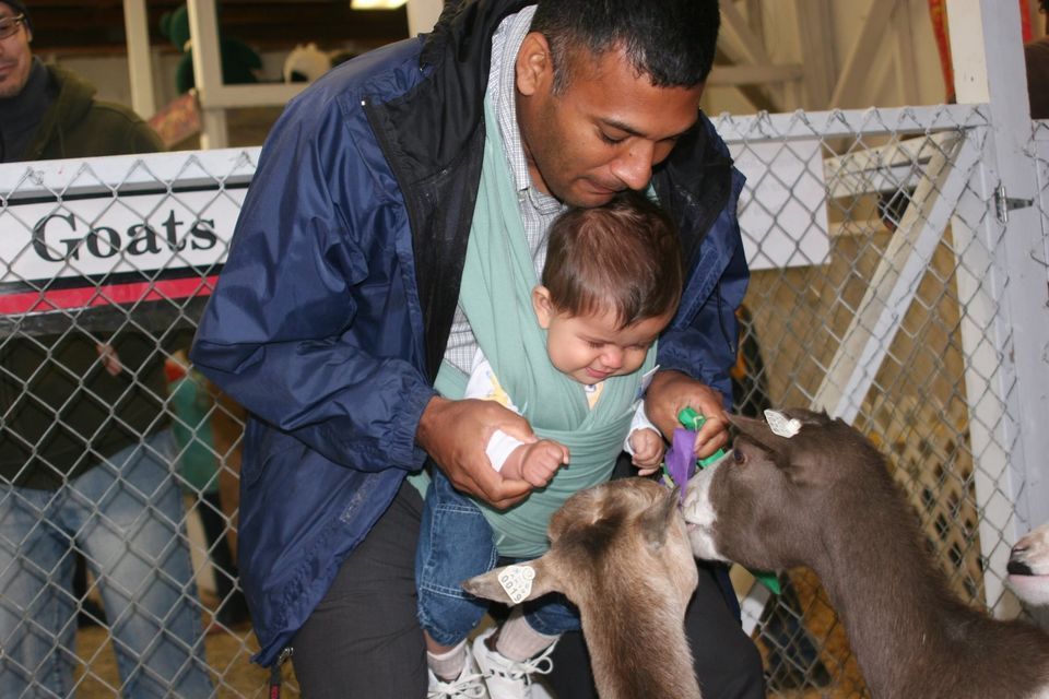 Alaska 529 Kids Day at the Tanana Valley State Fair, Tanana Valley