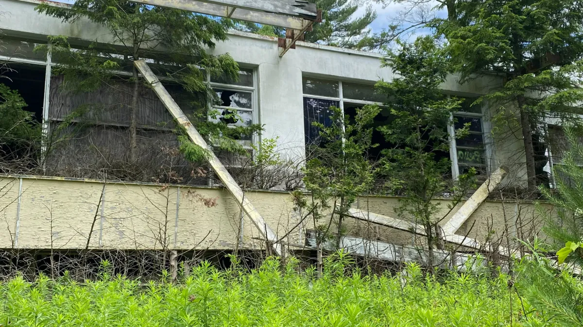 flyingfish in Tampa, 22 March | Event in Tampa | AllEvents