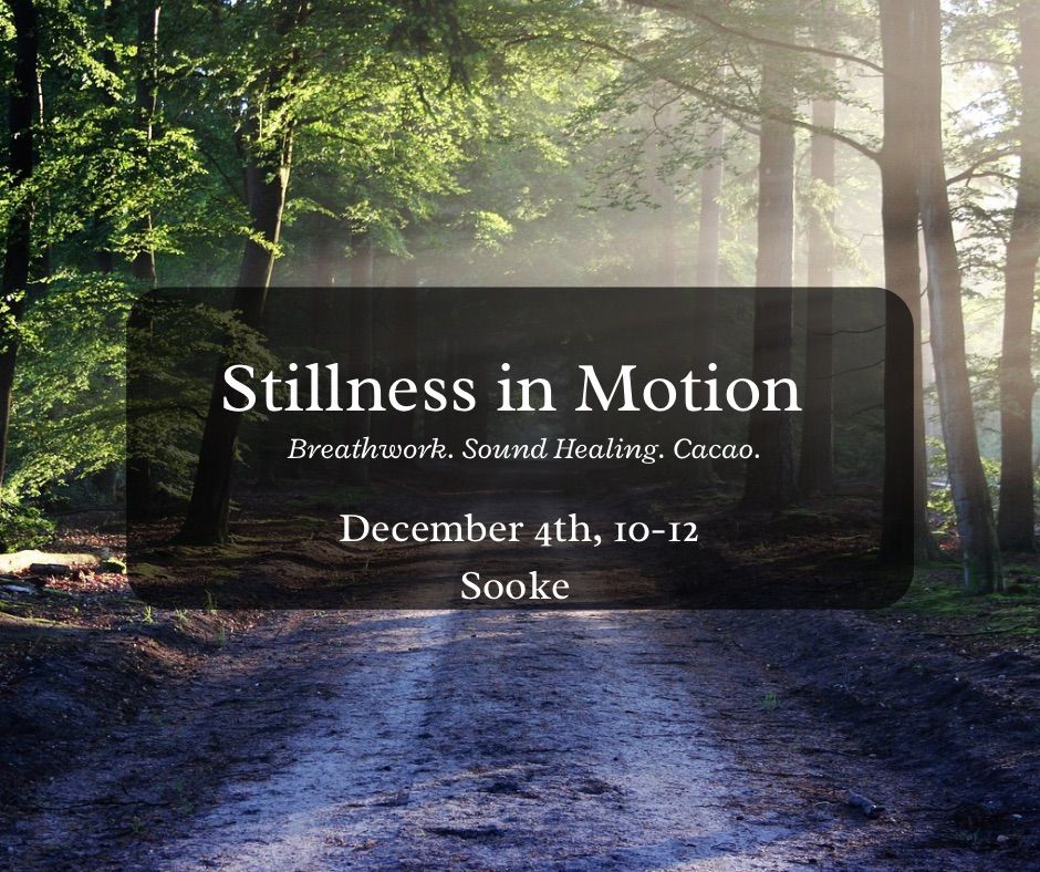 Stillness in Motion , Maple Ridge BC Canada, 4 December 2023 | AllEvents