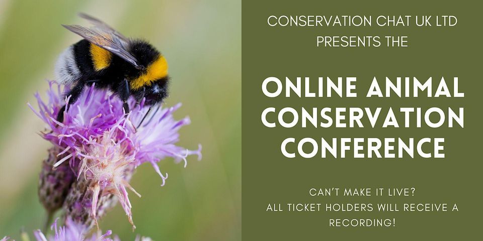 Animal Conservation Online Conference 2024, Online event, London ...