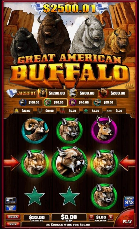 Electronic Pull Tab Machine Tournament , Harrison Moose Lodge 2633