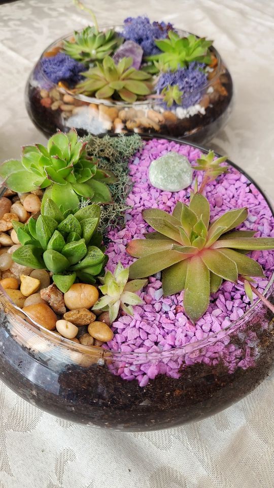 04/25/23 Purple Lilli at Brass Tap Allen 7 p.m.!, The Brass Tap