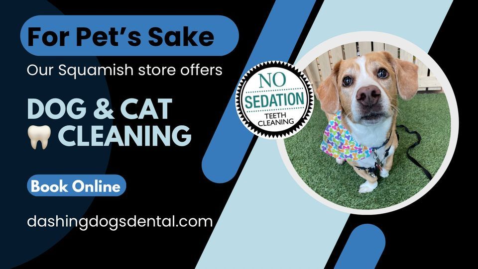 Pet Teeth Cleaning Squamish, For Pet's Sake Squamish, February 14