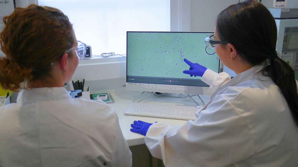 Basic Andrology Course