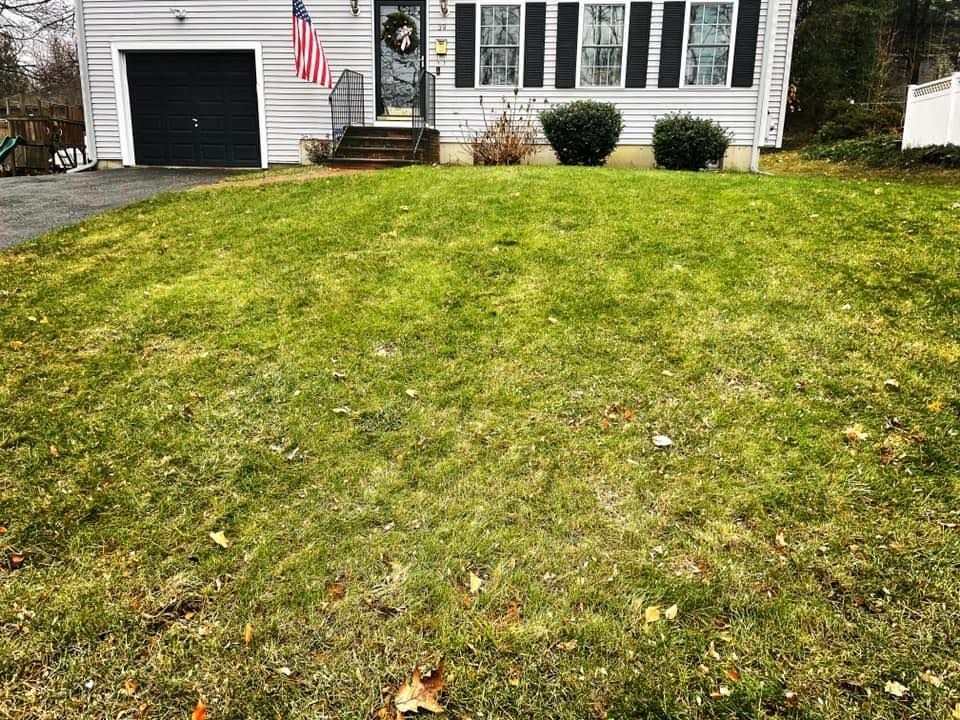 Annual Grafton Street Elementary Can and Bottle Drive, 311 Grafton St