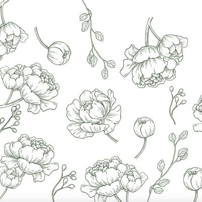 Bloom Co. Marketing & PR logo