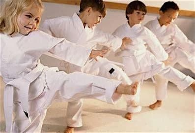 Kick Off the New Year with FREE Martial Arts for Kids at Lyndell Institute!, 3 January | Event in Weldon Spring
