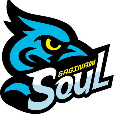 Saginaw Soul