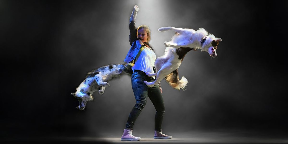 Neil Berg's 117 Years of Broadway at Ruth Eckerd Hall, 24 February | Event in Clearwater | AllEvents