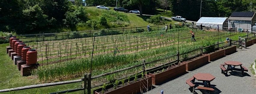 Roots of Salem: A Demonstration of Indigenous Foodways, 11 July | Event in Salem | AllEvents