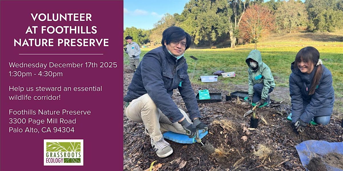 Volunteer Outdoors in Palo Alto at Foothills Nature Preserve, 17 December | Event in Palo Alto | AllEvents