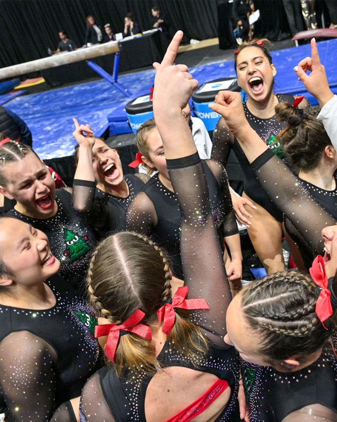 Stanford Cardinal Women's Gymnastics vs. Boise State Broncos, 14 March | Event in Stanford | AllEvents