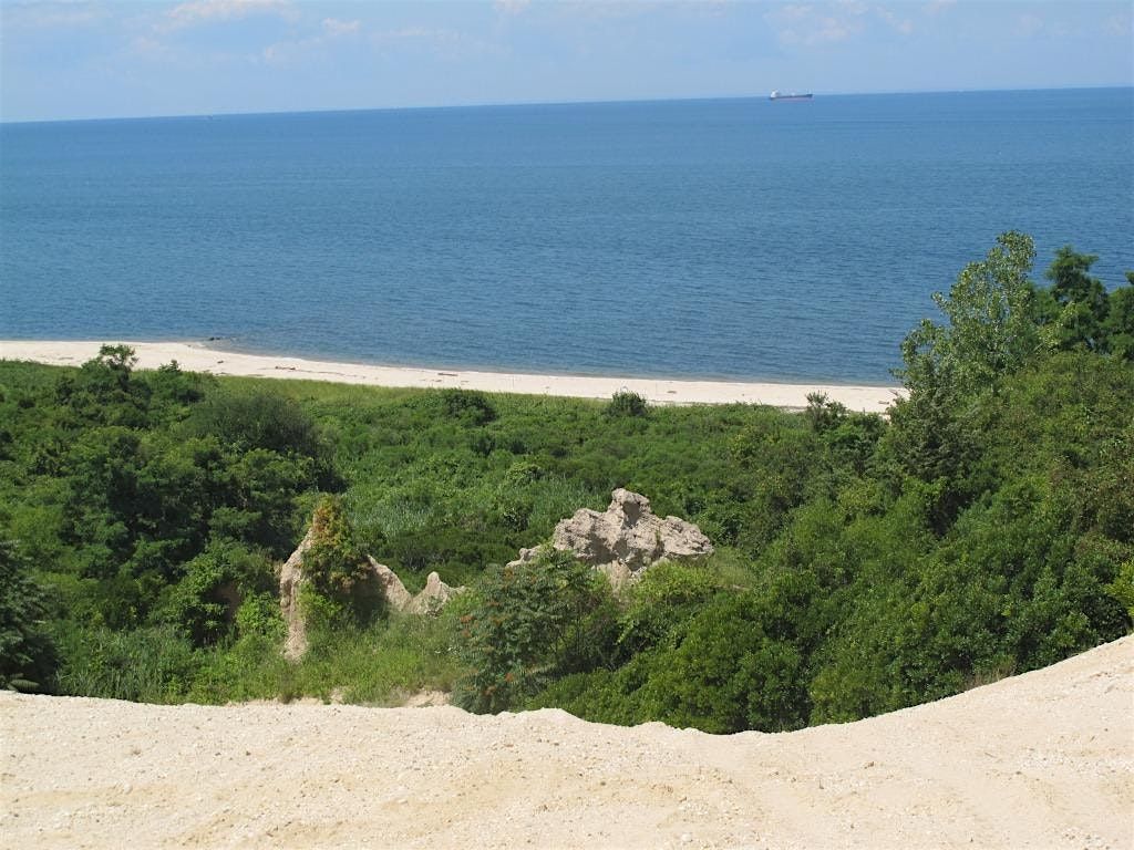 Stewardship Saturday: Hallock Preserve Invasive Sapling & Knotweed Removal, 29 November | Event in Riverhead