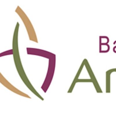 Baltimore County Arts Guild logo