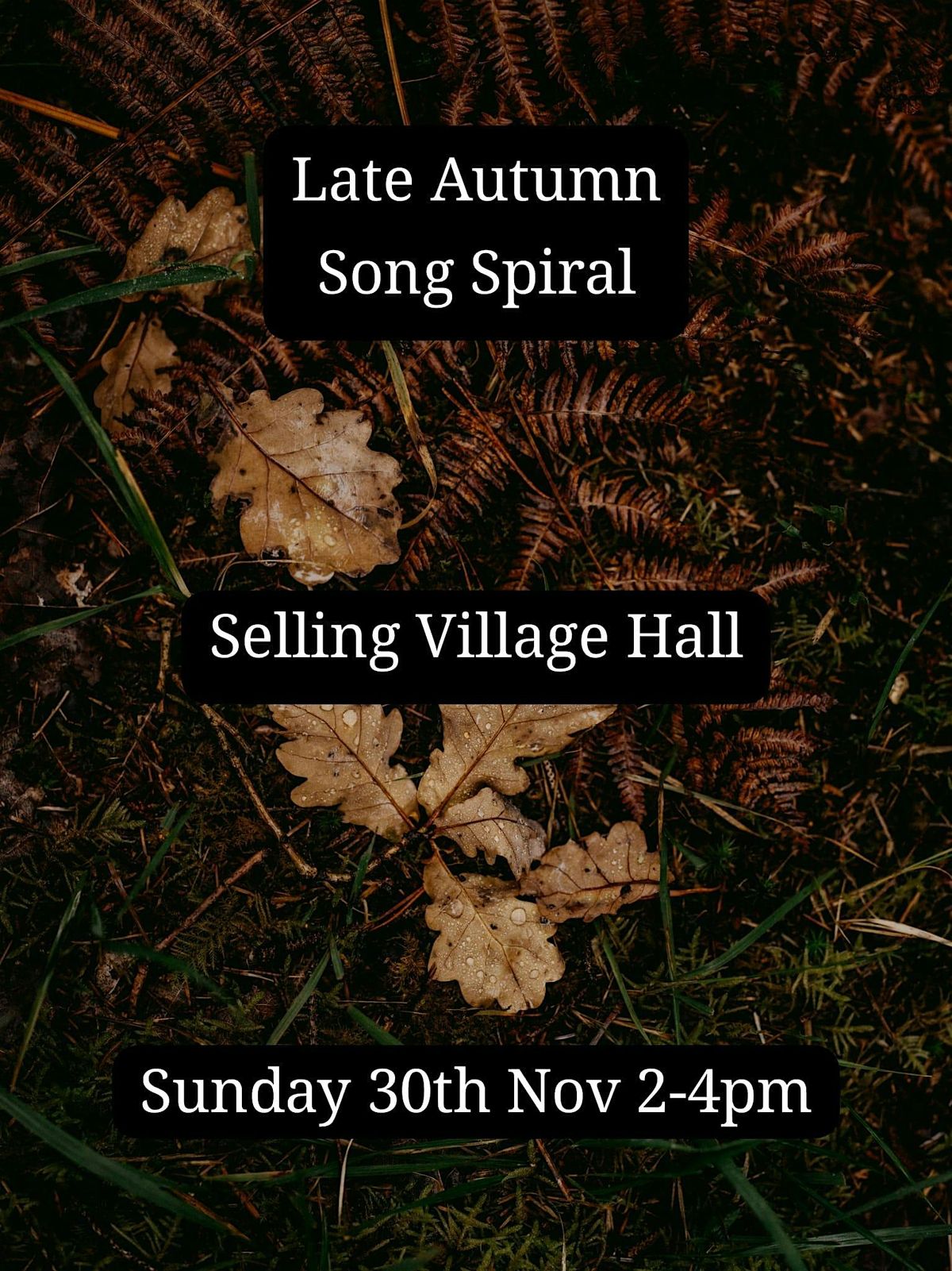 Late Autumn  Song Spiral, 30 November | Event in Faversham | AllEvents