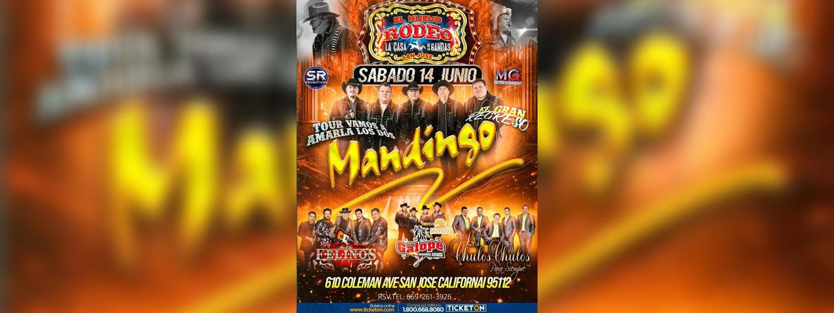 MANDINGO, FELINOS Y MAS , 14 June | Event in San Jose | AllEvents
