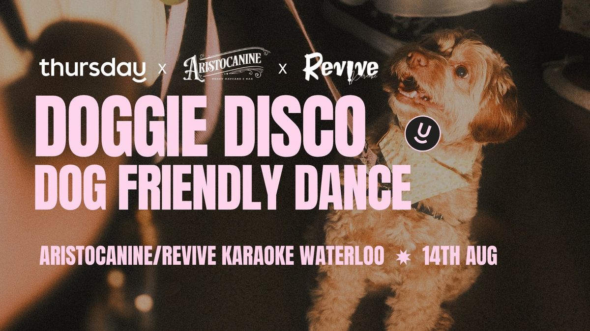 Thursday | Aristocanine | Waterloo, 14 August | Event in Waterloo | AllEvents