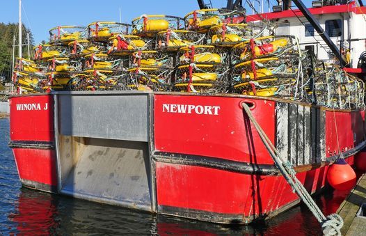 Events In Newport Or In September 2021 Newport Oregon Calendar Of Events 2022