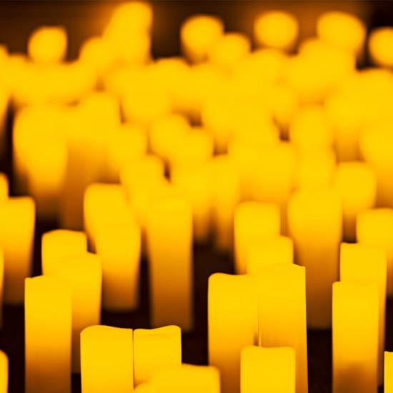 Candlelight: The Best of Ennio Morricone — Shepstone Gardens