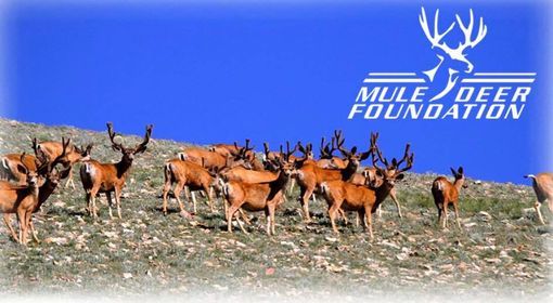 E5x8m1vnlkfzhm Lapine Oregon Christmas Bazaar "2021 Ns"