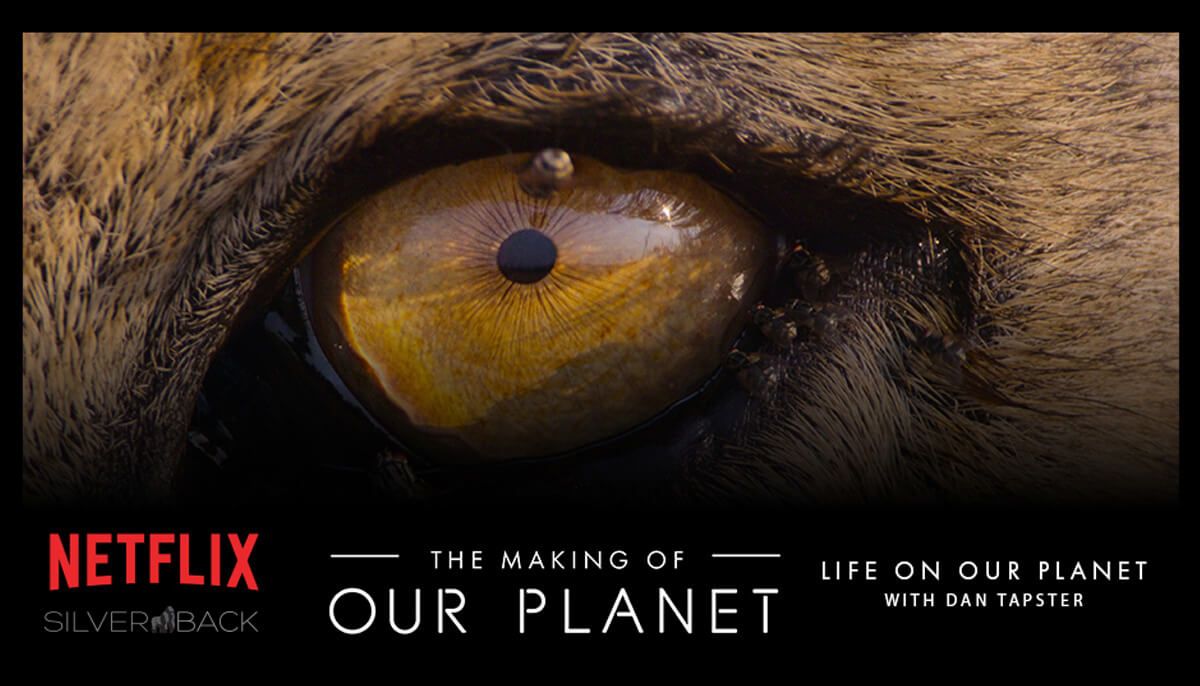 The Making of Life on Our Planet, 11 April | Event in Nanaimo | AllEvents