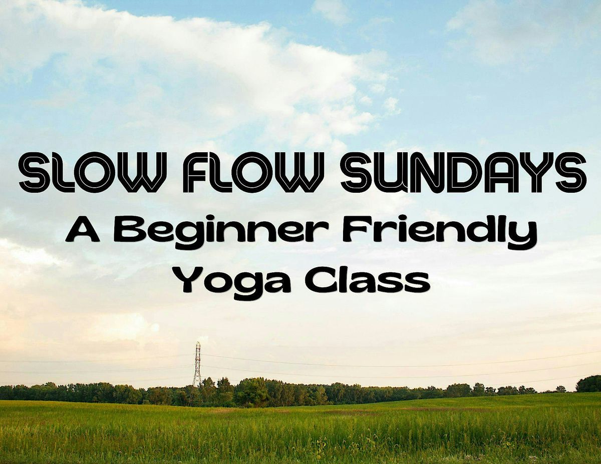 Slow Flow Sundays : A Beginner Friendly Yoga Class in Chicago – October ...
