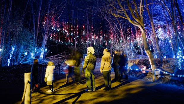 Dino-light, 28 February | Event in Anderson | AllEvents