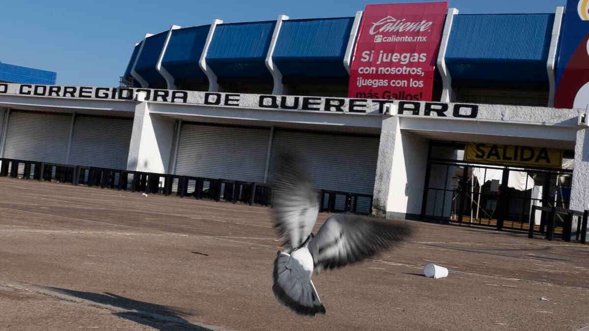 Raphael Santiago de Querétaro Tickets, 26 April | Event in Santiago de Querétaro | AllEvents