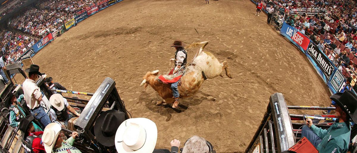 PBR: Team Series - Saturday at Desert Diamond Arena, Desert Diamond ...