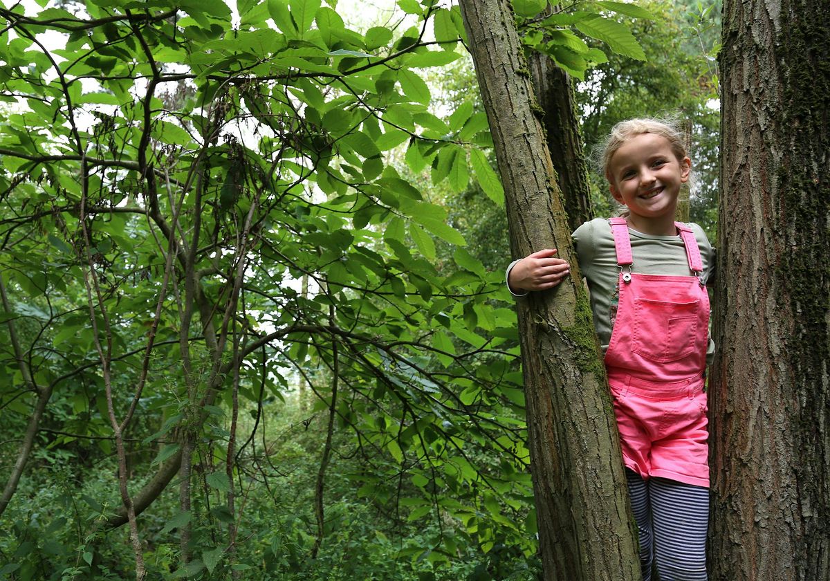 Langdon Family Forest Fun, 20 February | Event in Basildon | AllEvents