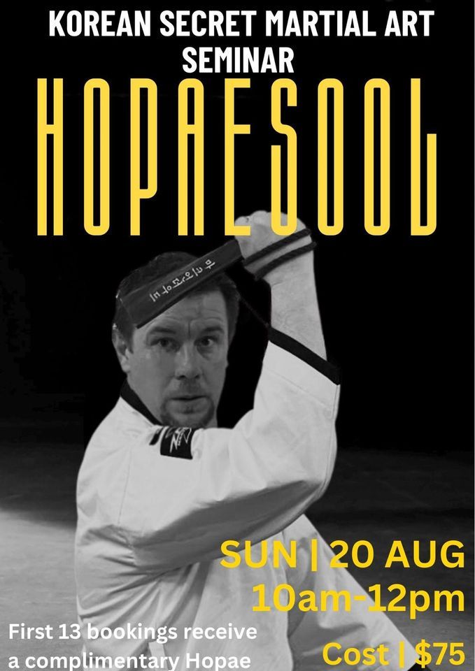Hopaesool Seminar Martial Arts Seminar in Sydney, Zone Martial Arts, Padstow, 20 August 2023