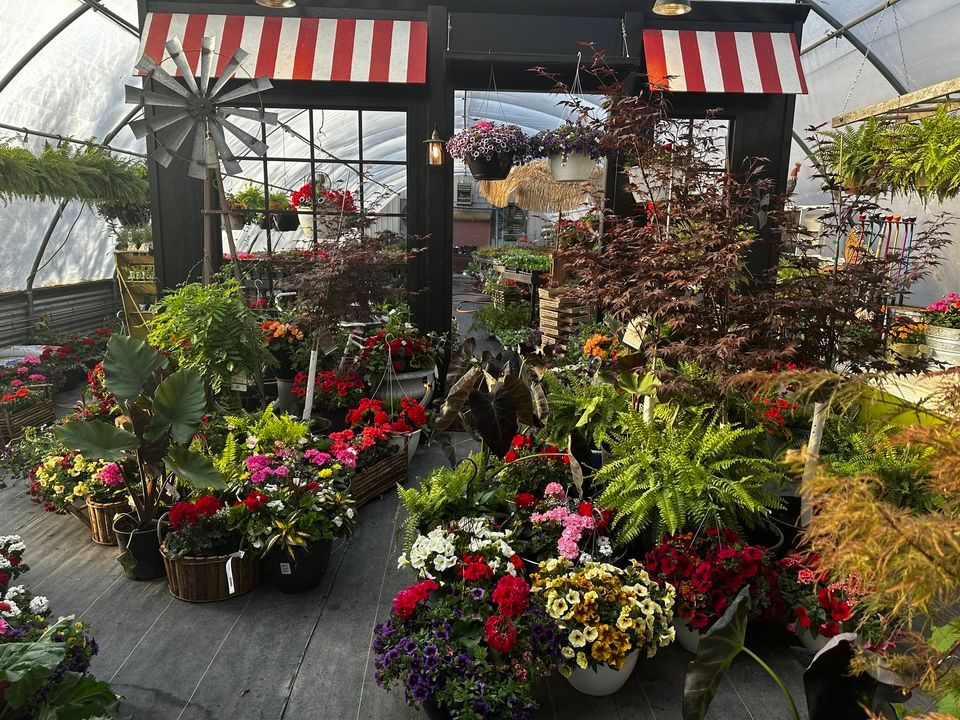 Country Girl Flowers Spring Opening, 869 YY Rd, Copeland, KS, April 20