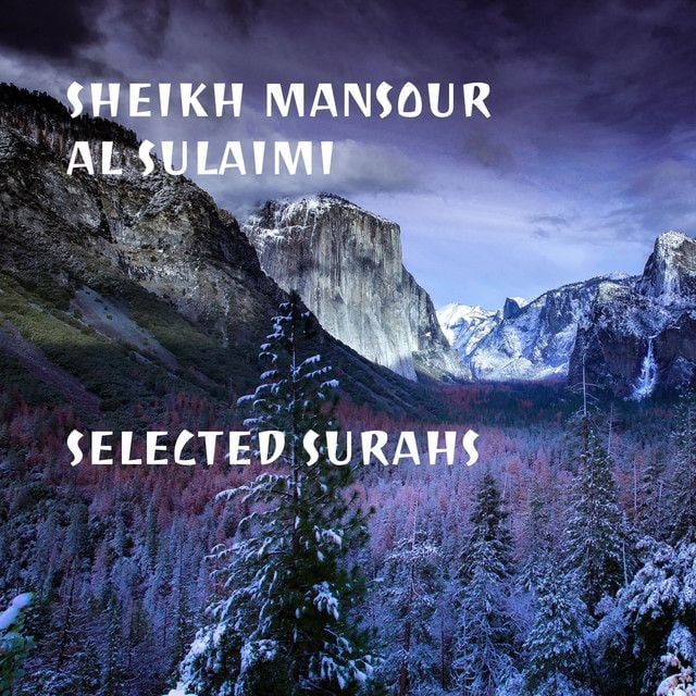 Sheikh Mansour Al Sulaimi